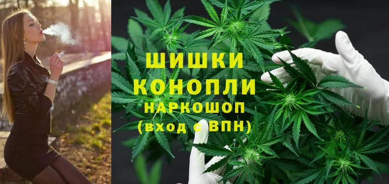 Бошки марихуана Ganja  Кологрив 